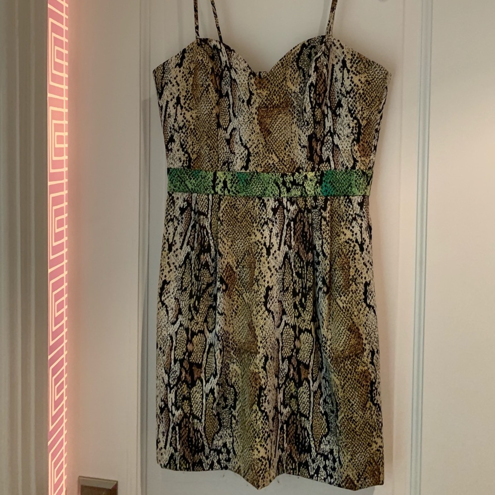 Revolve Naven snakeskin print sweetheart dress